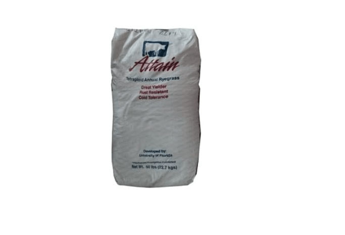 SeedRanch Attain Tetraploid Annual Ryegrass Seed - 50 Lbs