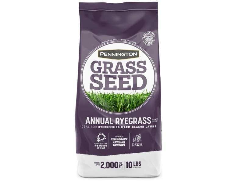 Pennington Annual Ryegrass Grass Seed 10 lb