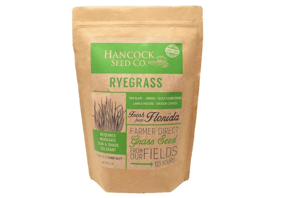 Hancock Seed Co. Ryegrass Seeds - 50 lbs.