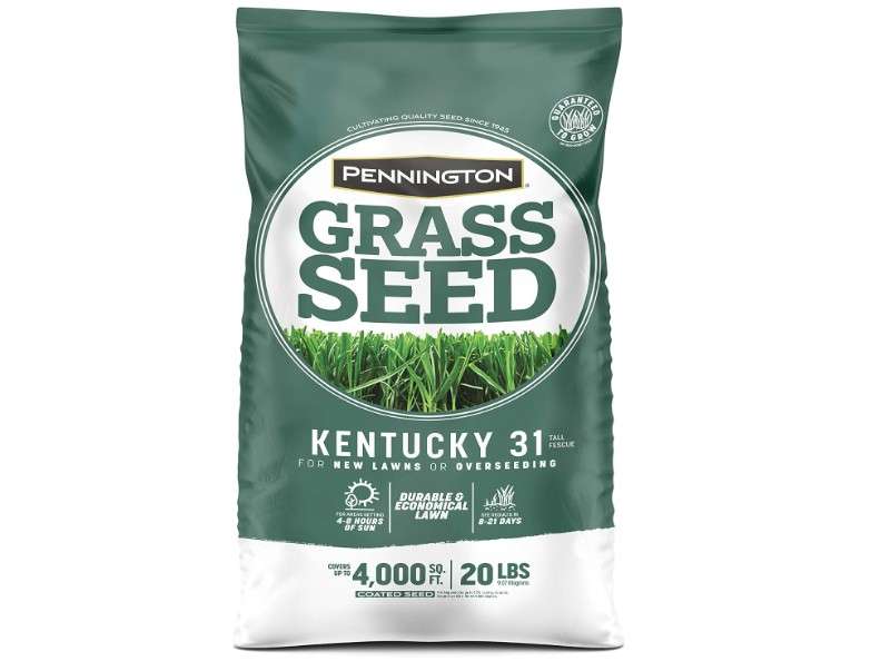 Pennington Kentucky 31 Tall Fescue Grass Seed 20 lb