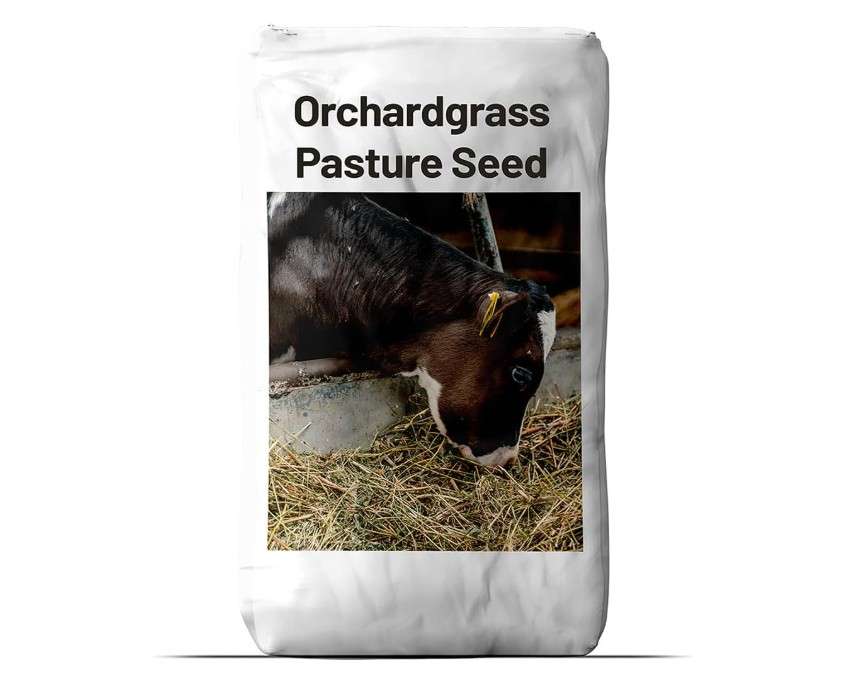 Outsidepride Grazer Orchard Pasture Grass Seed - 50 Lbs. Perennial, Drought & Shade Tolerant, Winter Hardy Fescue Seed for Hay, Grazing, Silage, Greenchop, Goat Feed, & Lawn Use
