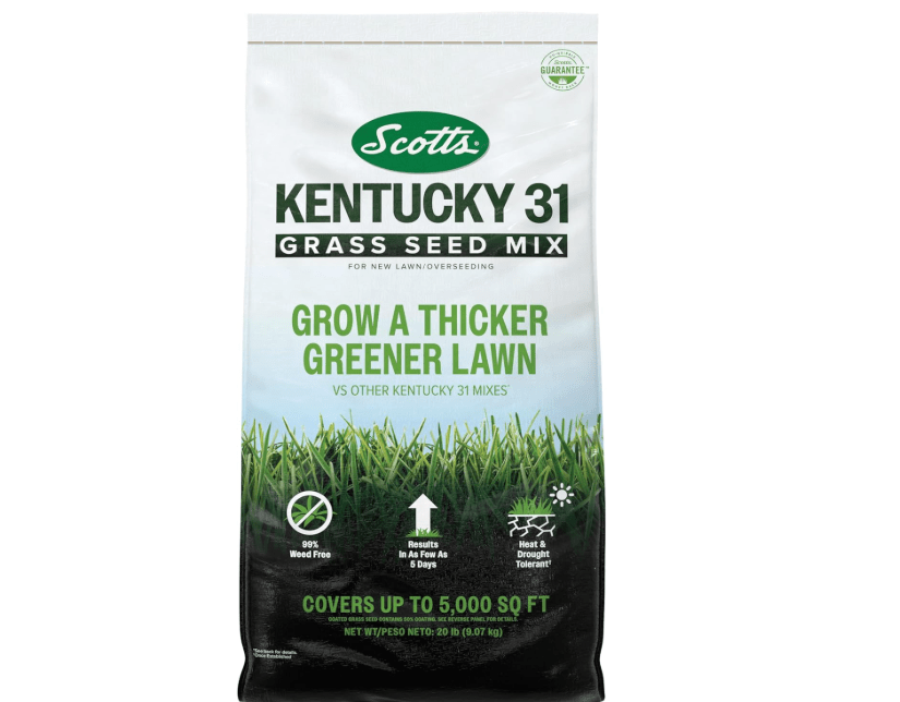 Scotts Kentucky 31 Grass Seed Mix for New Lawns or Overseeding, Grows Thicker and Greener vs. Other Kentucky 31 Mixes, Covers up to 5,000 sq. ft
