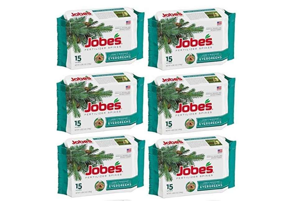 Jobes 01611 15 Pack Evergreen Tree Fertilizer Spikes - Quantity 6 Packages

