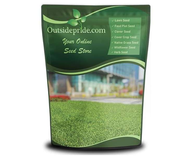 Outsidepride Rescape Seashore Paspalum Turf Grass Seed - 1 lb. Warm Season, Salt & Drought Tolerant Dense Lawn Grass Seed, Perfect for Erosion Control, High Traffic Fields, Beaches, & Coastal Areas