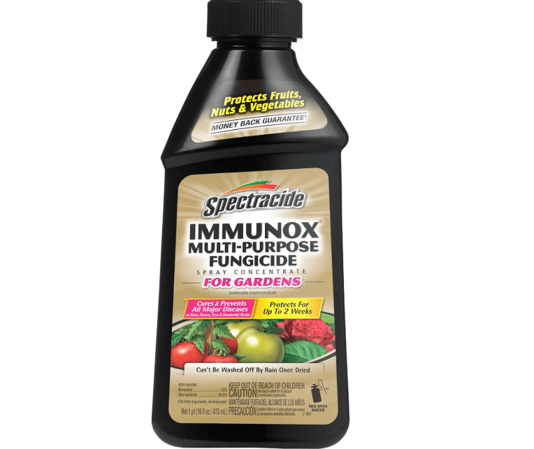 Spectracide Immunox Multi-Purpose Fungicide Spray Concentrate For Gardens 16 Ounces, Protects Up To 2 Weeks
