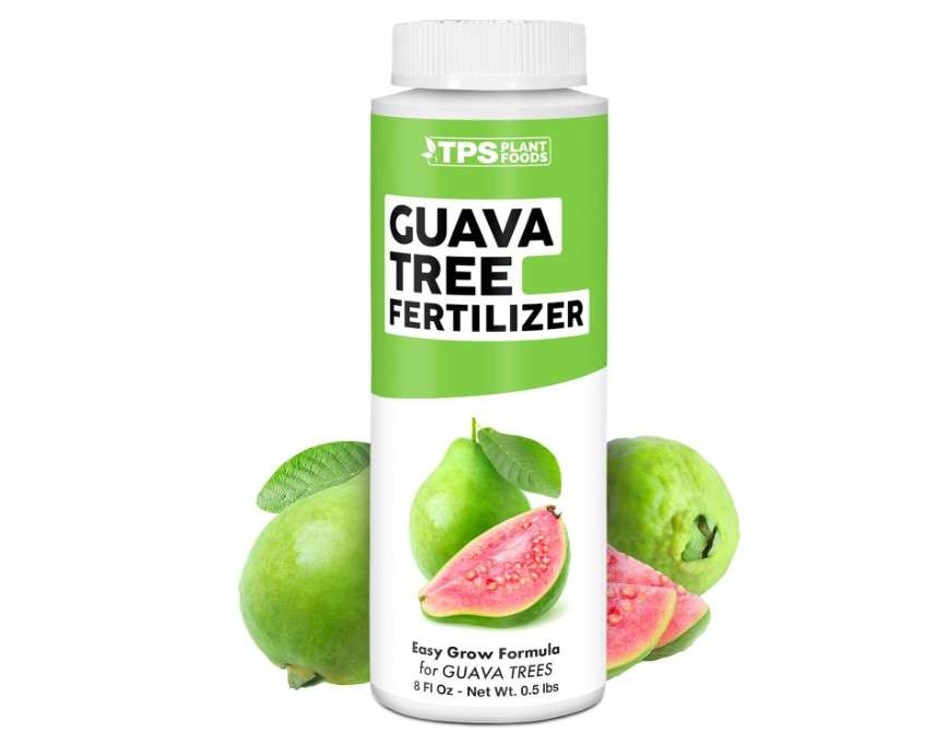Guava Tree Fertilizer for Guava Trees, Great for White, Pink, and Red Guava Varieties, Liquid Fertilizer by TPS Plant Foods, 8 oz (250mL)
