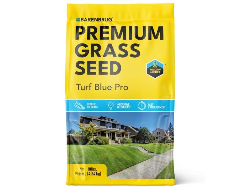 Barenbrug Turf Blue Pro Kentucky Bluegrass Lawn Seed with Yellow Jacket Seed Coating, All-Season Durable Grass Mix for Lawns, 10-lb. Bag