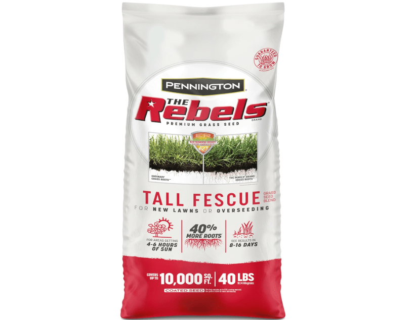 Pennington The Rebels Tall Fescue Grass Seed Mi
