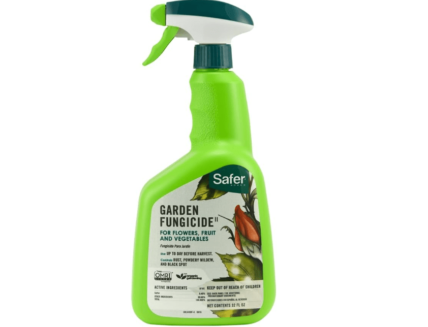 Safer Brand 5450-6 Garden Fungicide Ready to Use 32 Ounces