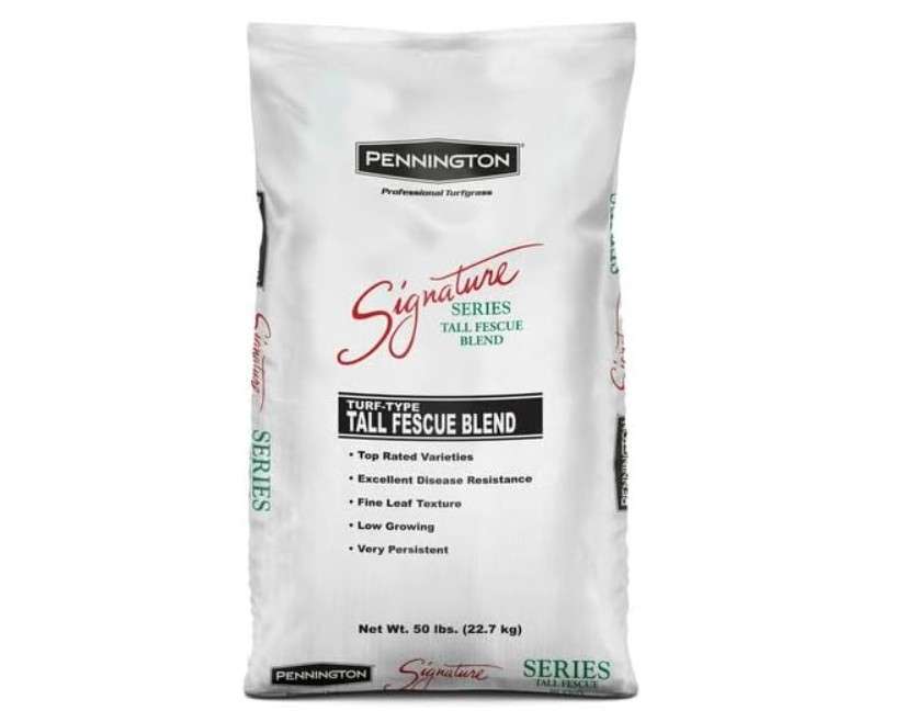 Pennington Signature Series Tall Fescue Blend Blue Tag 50 lb Grass Seed Partial Sun