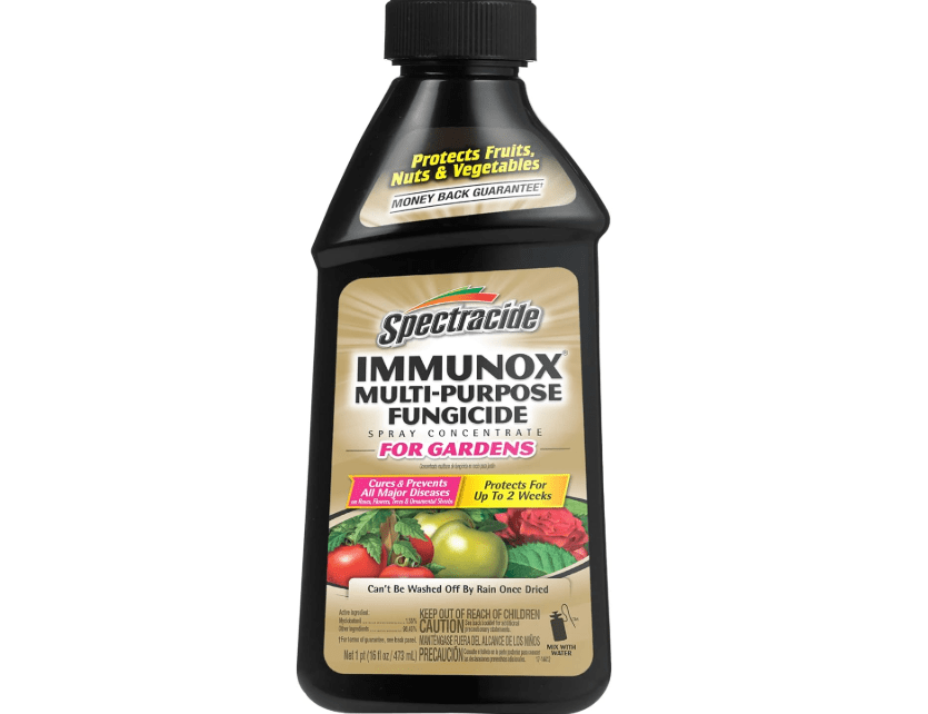 
Spectracide Immunox Multi-Purpose Fungicide Spray Concentrate For Gardens 16 Ounces, Protects Up To 2 Weeks