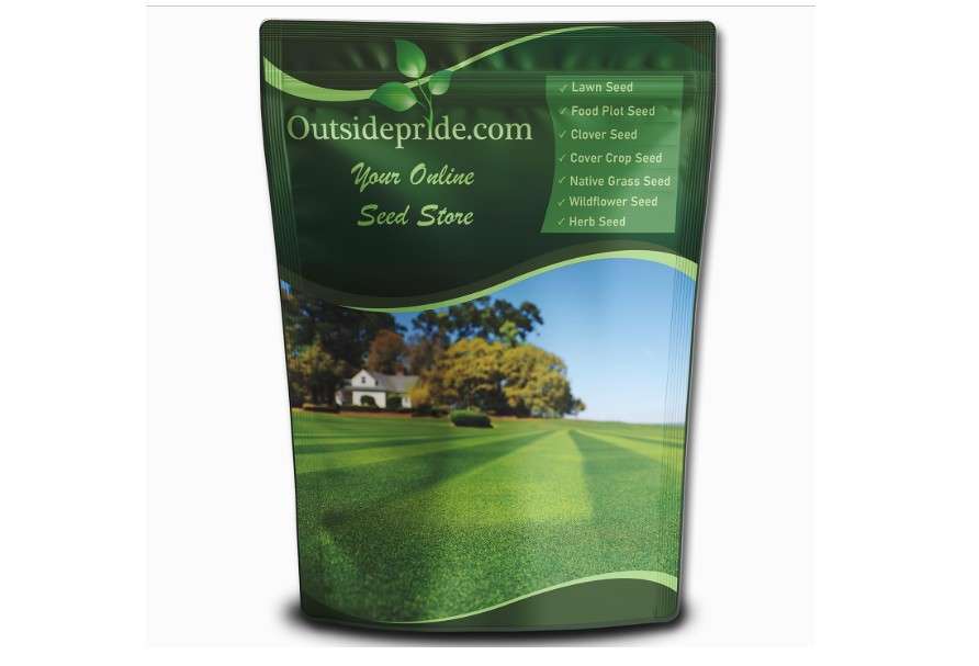 Outsidepride Maya (Blackjack II) Bermuda Grass Seed - 5 lbs Warm Season, Drought Tolerant, Fast Growing, Fine-Textured Bermuda Grass Seeds for Lawn, Parks,...