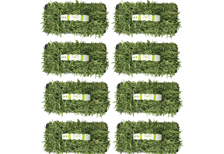 SodPods® St. Augustine CitraBlue Grass Plugs for Lawn Repair, 3" x 3" Each (64-Count) – Cannot Ship to California/Arizona
Item Packag