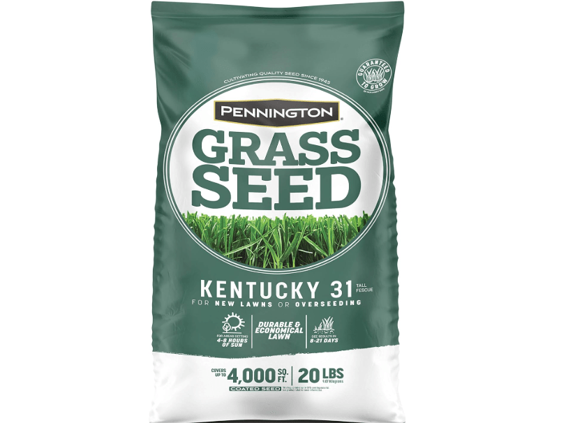 
Pennington Kentucky 31 Tall Fescue Grass Seed 20 