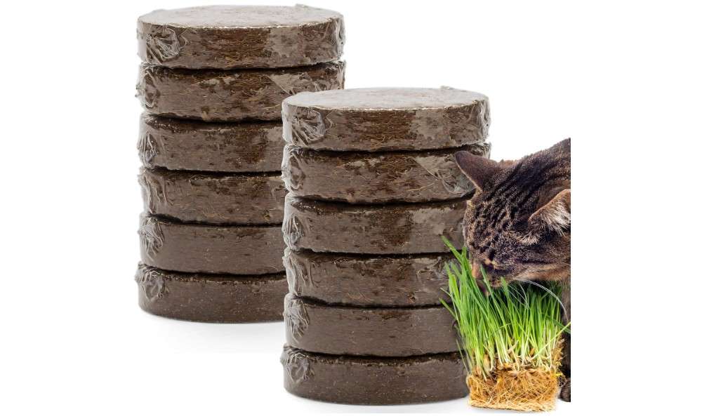 The Cat Ladies Potting Soil for Indoor/Outdoor Plants, Expands to Fit 3 Inch and 4 Inch Pots - 12 Pack