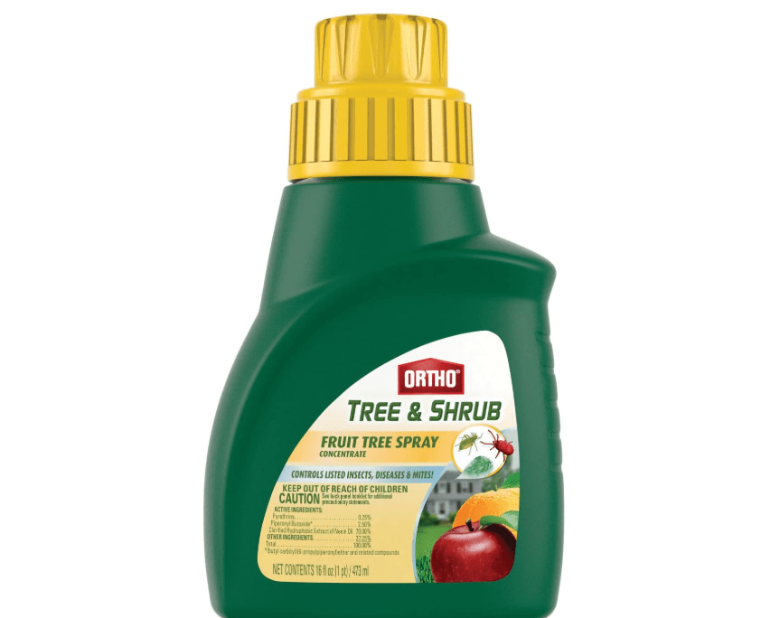  Ortho Tree & Shrub Fruit Tree Spray, 16-Ounce