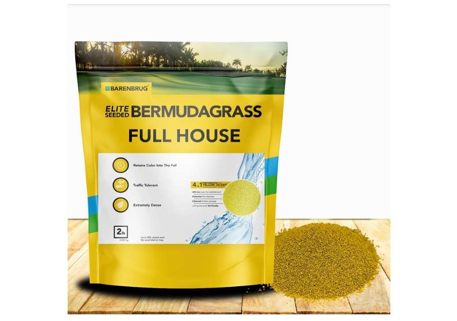 Outsidepride Full House Bermuda Grass Seed Mix - 2 lbs. Premium Warm Season Turf Blend of Traffic & Drought-Tolerant Monaco & Hollywood Bermuda...
