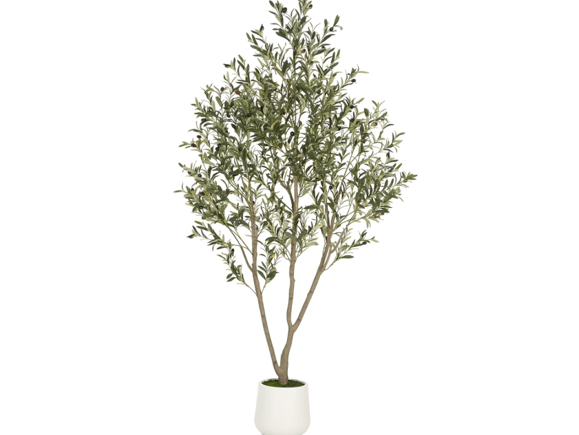 
VIVATREES Olive Trees Artificial Indoor, 7FT Tall Faux Olive Tree with White Tall Planter, Artificial Plants with Natural Wood Trunk and Lifelike Fruits for