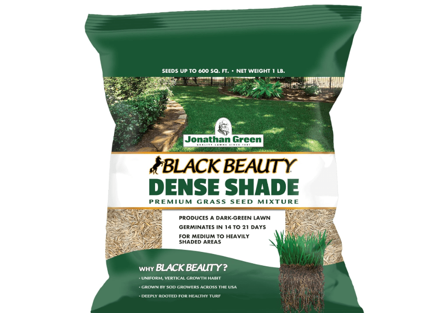 Jonathan Green (10622) Black Beauty Dense Shade Grass Seed - Cool Season Lawn Seed