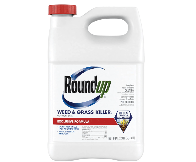 Roundup Weed & Grass Killer₄ Concentrate, Use in and Around Flower Beds, Walkways and Other Areas of Your Yard, 1 ga