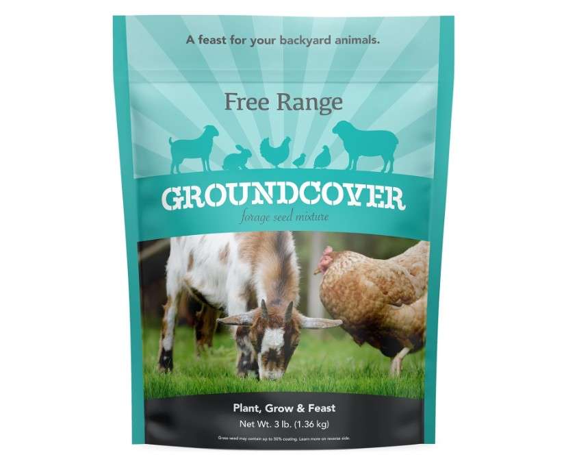 Barenbrug Free Range GroundCover Forage Seed Mixture - Ideal for Chickens, Game Birds, Goats, and Sheep - 3 lb Bag, Blue

