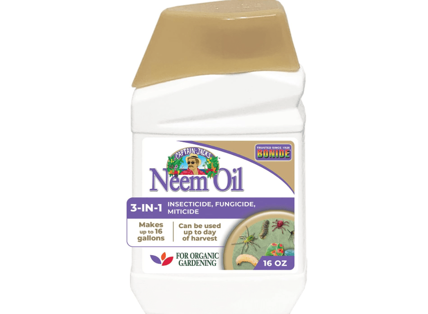  Bonide Captain Jack's Neem Oil, 16 oz. Concentrate, Multi-Purpose Fungicide, Insecticide and Miticide for Organic Gardening