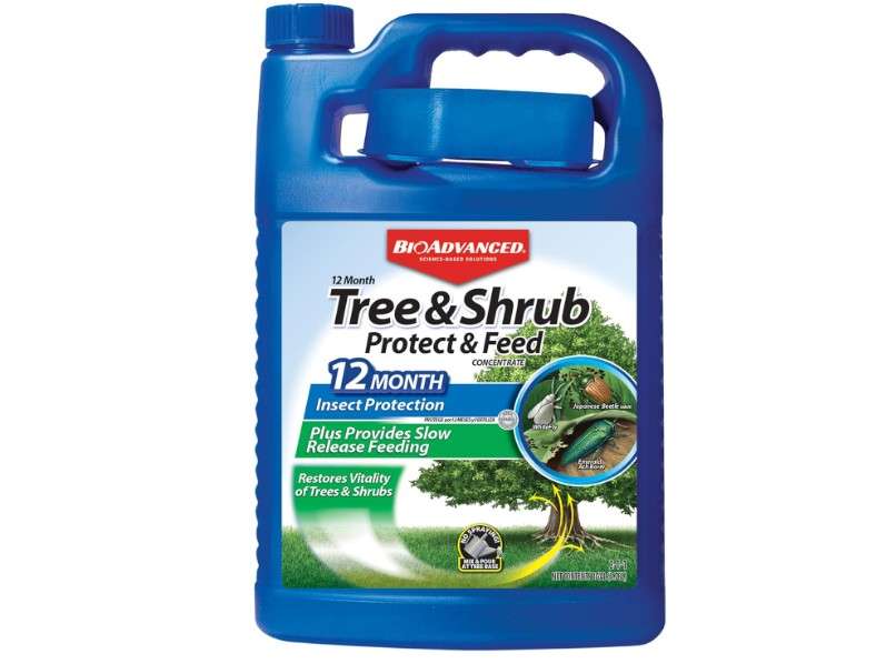 BioAdvanced 12 Month Tree and Shrub Fertilizer, Protect & Feed Concentrate, 1 Gal, Insect Killer and Plant Food