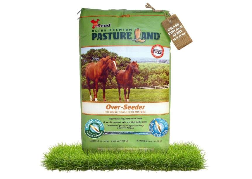 X-Seed Land Over-Seeder Pasture Forage Seed Mix, Endophyte Free for Healthier Livestock Grazing, Clover Food Plot Orchardgrass Perennial Planting Micro...
