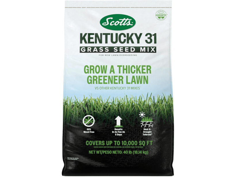 
Scotts Kentucky 31 Grass Seed Mix for New Lawns or Overseeding, Grows Thicker and Greener vs. Other Kentucky 31 Mixes, Covers up to 10,000 sq. f