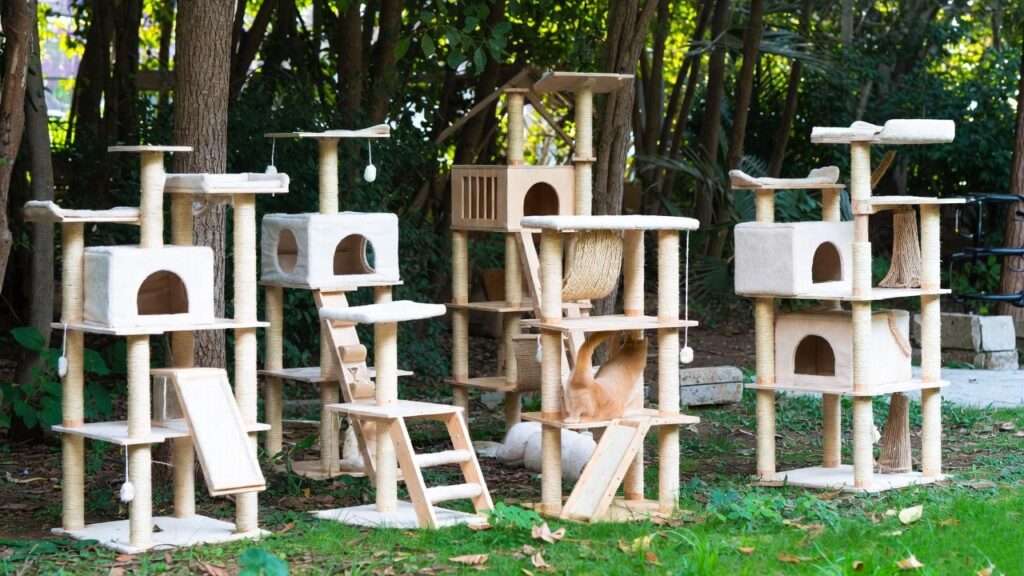 outdoor cat trees