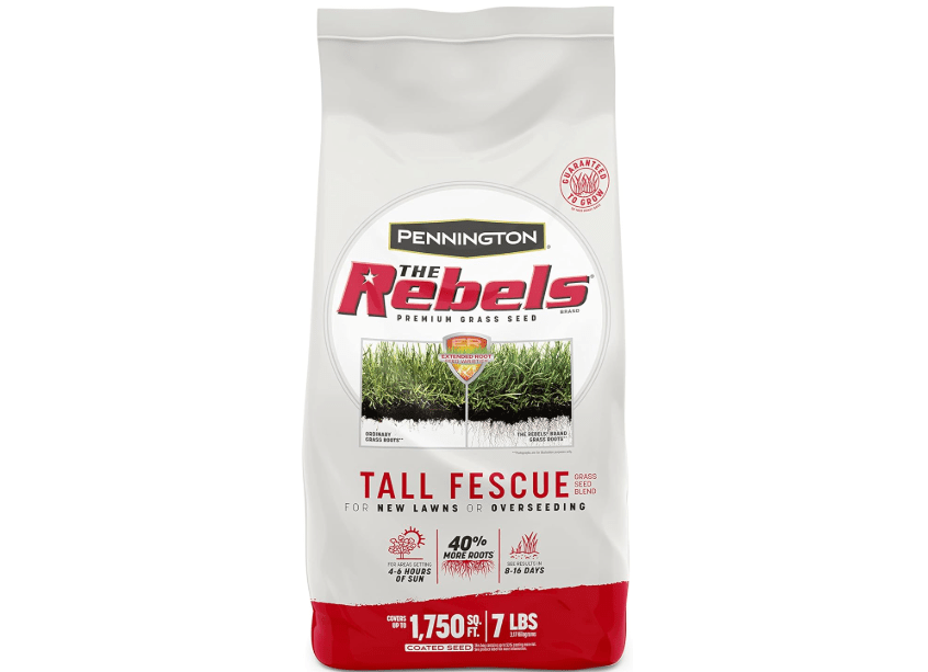 
Pennington The Rebels Tall Fescue Grass Seed Mix
