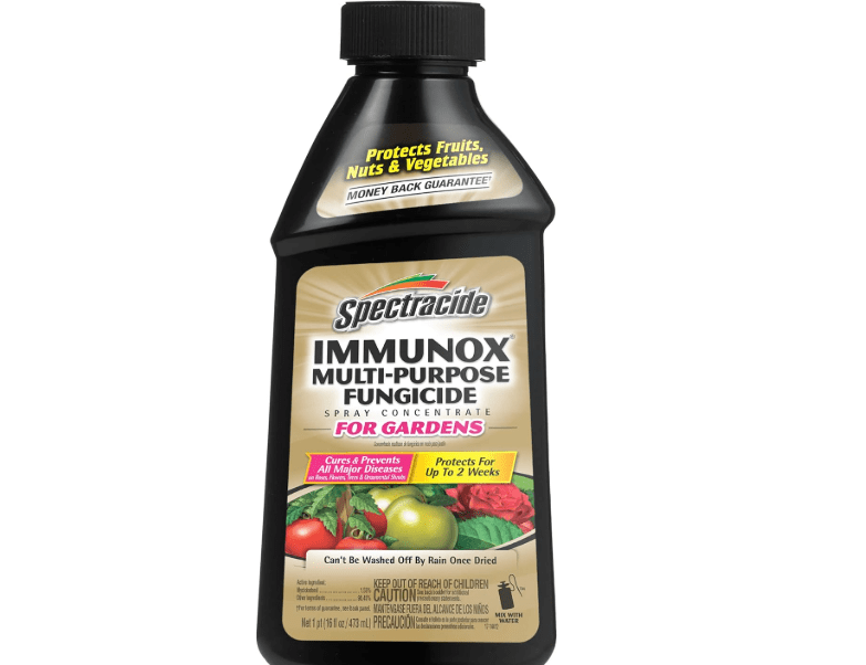  Spectracide Immunox Multi-Purpose Fungicide Spray Concentrate For Gardens 16 Ounces, Protects Up To 2 Weeks