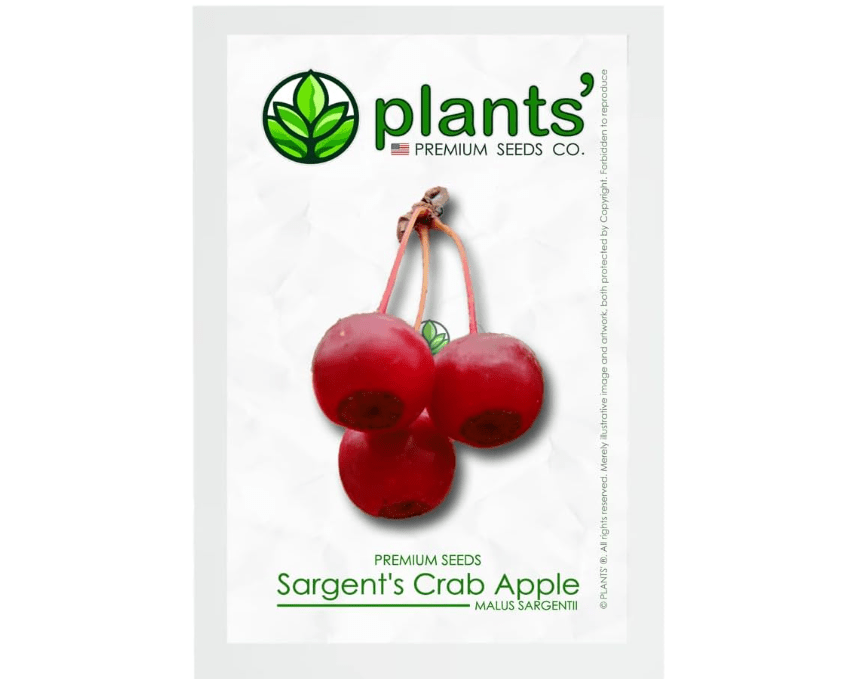 
Sargent's Crabapple Tree | Premium Seeds | Malus sargentii 'Fruit' | Plants'® (Premium Seeds