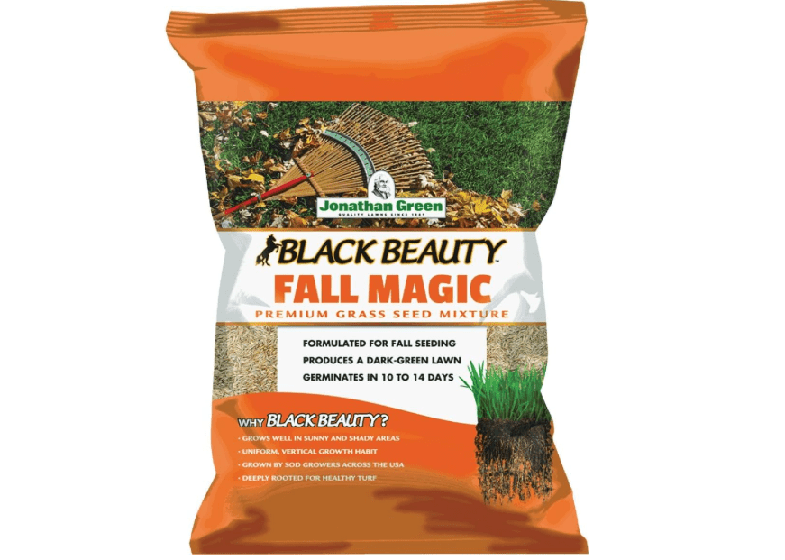 Jonathan Green (10770) Black Beauty Fall Magic Grass Seed - Cool Season Lawn Seed (25 lb)