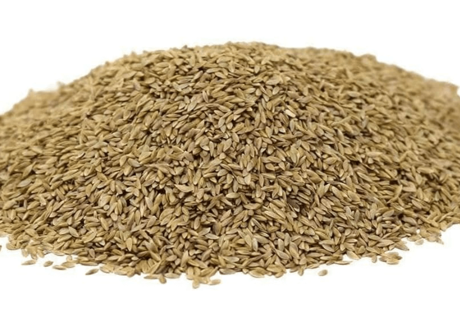 
Hancock Seed Co. Common Bermuda Grass Seed - Coated & Unhulled