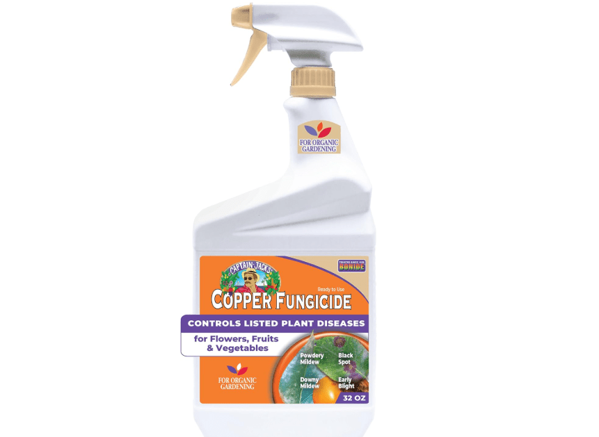  Bonide Captain Jack's Copper Fungicide, 32 oz Ready-to-Use Spray for Organic Gardening, Controls Common Diseases