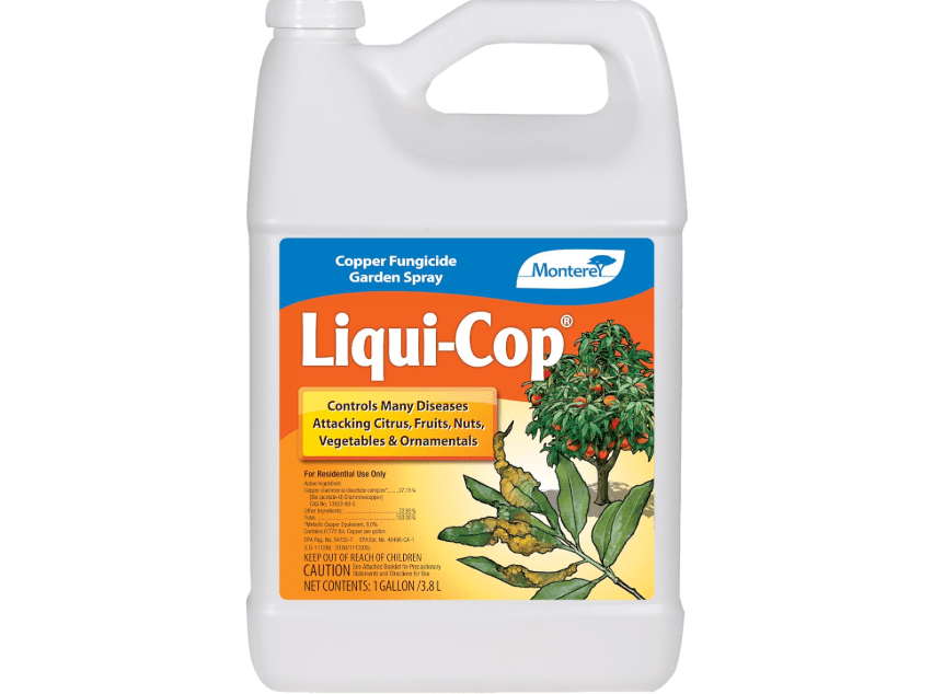 Monterey Liqui-Cop - Copper Fungicide Garden Spray for Citrus and Fruit & Nut Trees - 1 Gallon