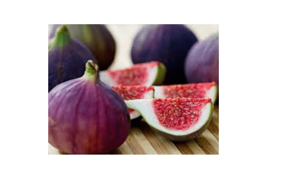 Fig Trees"Violette de Bordeaux" Includes Four (4) Live Plants
