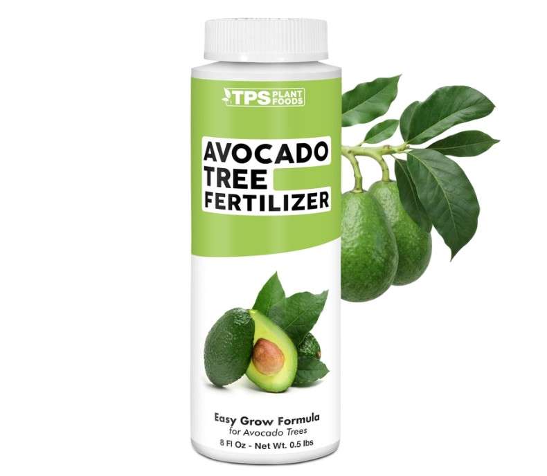 Avocado Tree Fertilizer, Complete Liquid Avocado Plant Food, 8 oz (250mL)