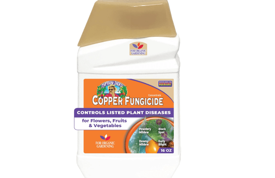 Bonide Captain Jack Copper Fungicide 16 oz Concentrated Plant Disease Control Solution for Organic Gardening