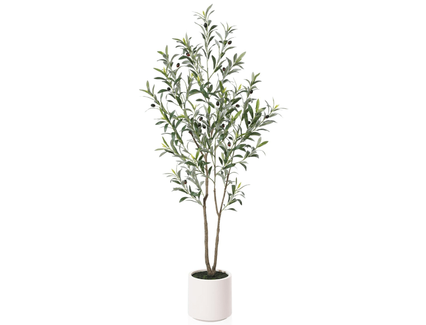 
LOMANTO Artificial Olive Trees, 5 ft Tall Fake Olive Trees for Indoor, Faux Olive Silk Tree, Large Olive Plants with White Planter for Home Decor and