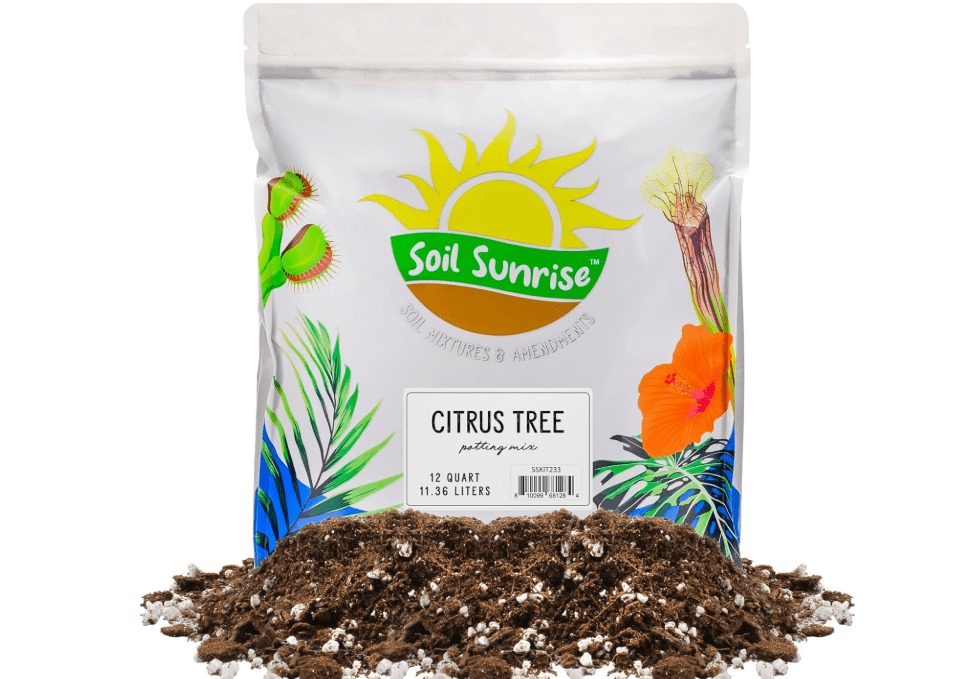 
Soil Sunrise Citrus Tree Potting Soil Mix (12 Quarts) Special Blend for Indoor Oranges, Lemons, Limes and More