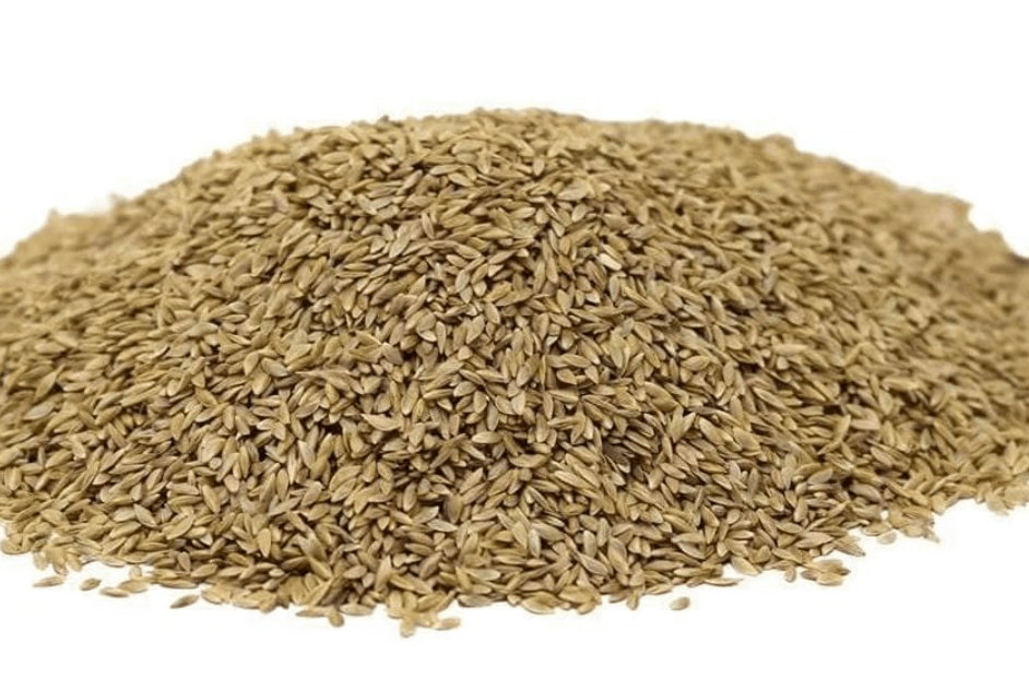 Hancock Seed Co. Common Bermuda Grass Seed - Coated & Unhulled, 50 lb