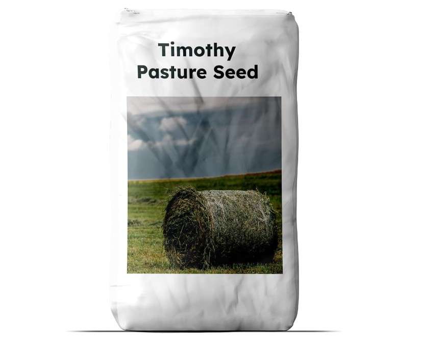 Outsidepride Climax Timothy Pasture Grass Seed - 50 Lbs. Perennial, Hardy, Easy to Grow, High-Yield, & Palatable, Winter Pasture Seed for Late-Spring...