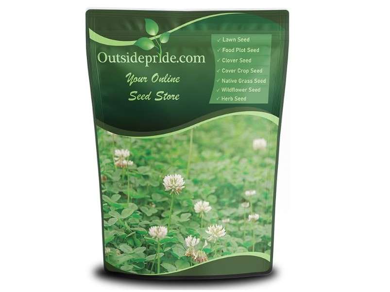 Outsidepride Perennial White Dutch Clover Seed - 5 lbs. Nitrocoated, Inoculated Clover Seeds for Lawn Alternative, Erosion Control, Food Plots, Ground Cover...

