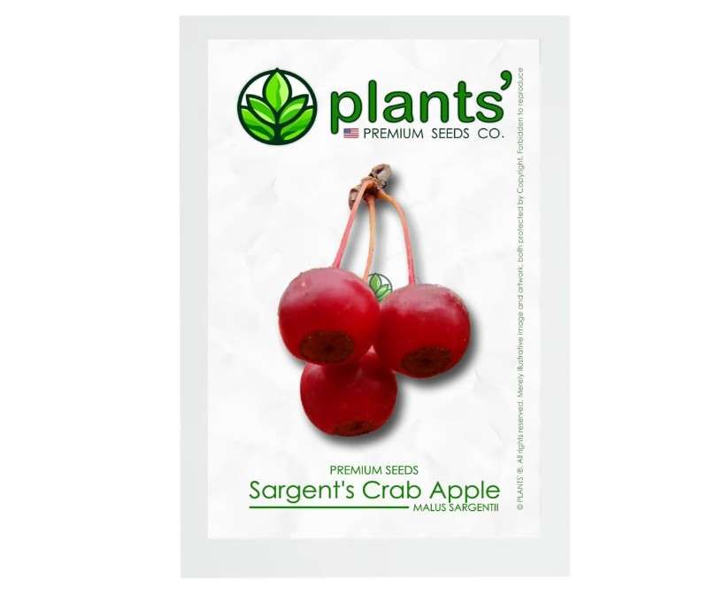 Sargent's Crabapple Tree | Premium Seeds | Malus sargentii 'Fruit' | Plants'® (Premium Seeds, 1000)