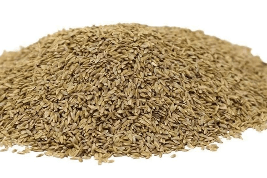 Hancock Seed Co. Common Bermuda Grass Seed - Coated & Unhulled, 50 lbs