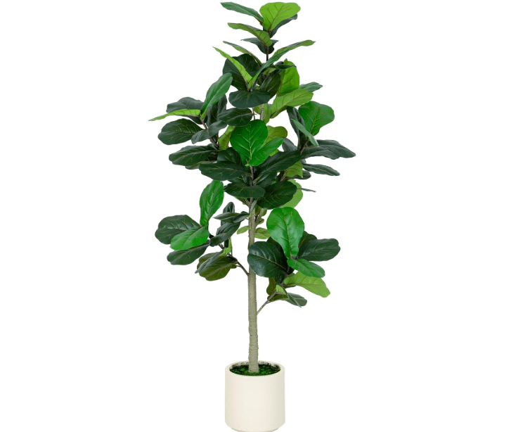 VIVATREES 6FT Fiddle Leaf Fig Artificial Tree with White Planter Pot,Faux Floor Plant, Indoor and Outdoor Fake Plants for Home Office Decor