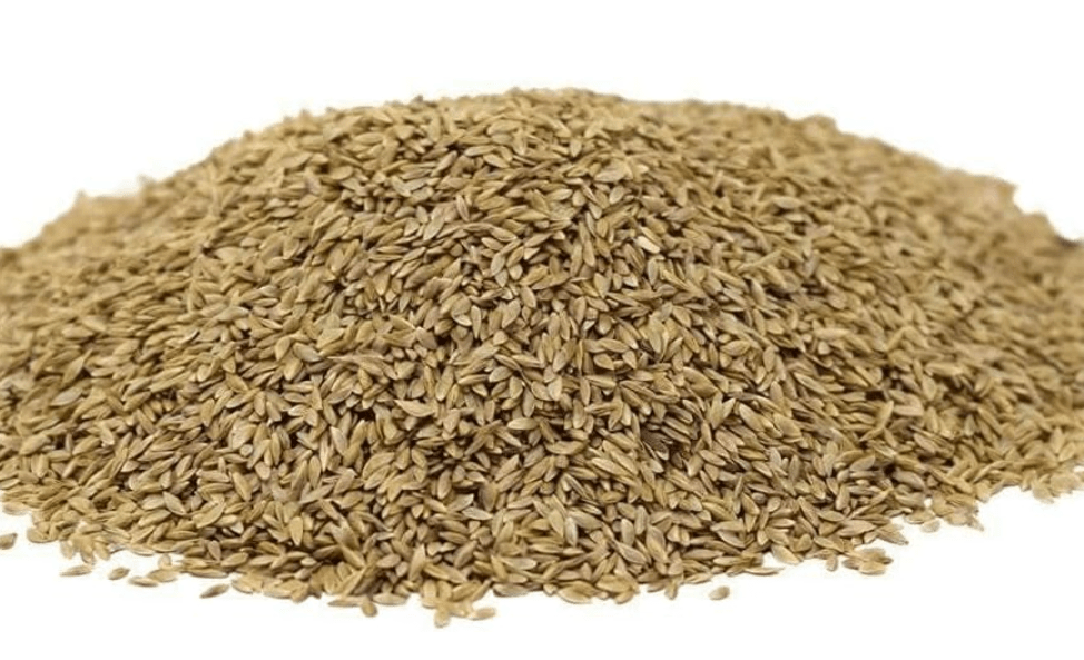 Hancock Seed Co. Common Bermuda Grass Seed - Coated & Unhulled, 50 lbs