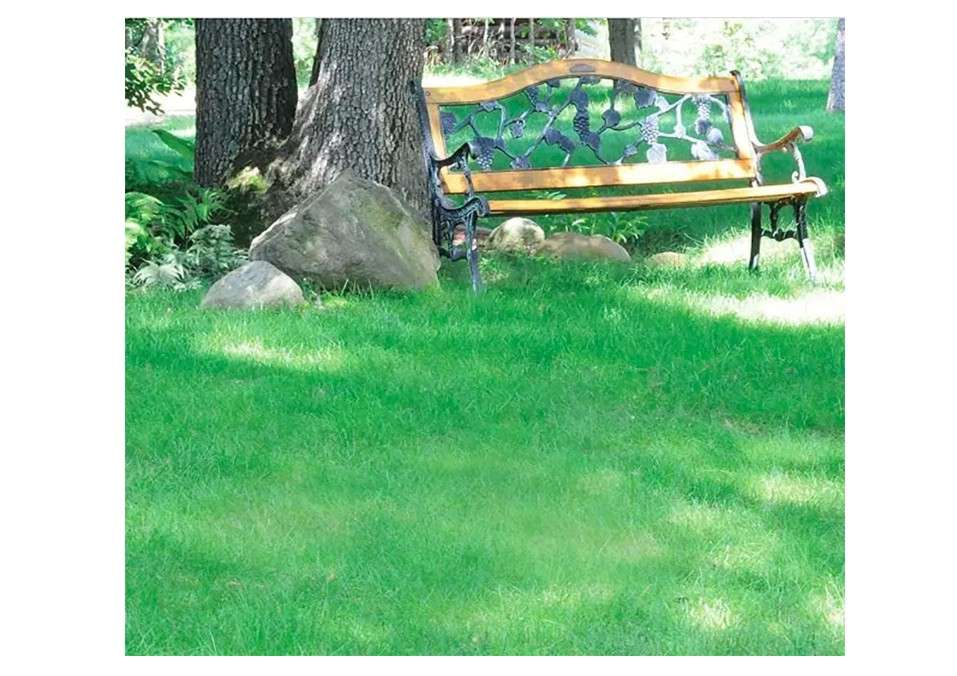 No Mow Lawn Grass Seed - 1/4 Pound